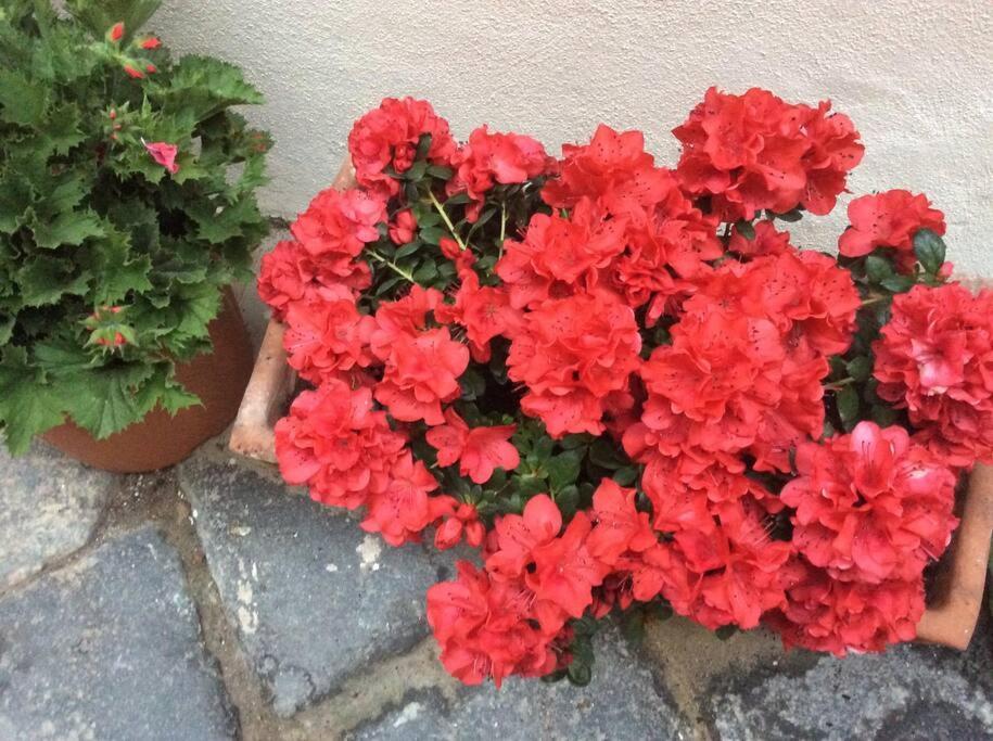 Giudecca Mia Apartman Szirakúza Kültér fotó